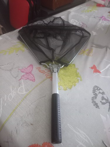 Epuisette truite - epuisette,
