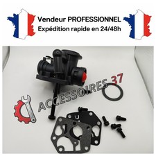 Carburateur pour BRIGGS ET