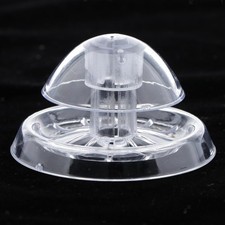 Piège à Escargots En