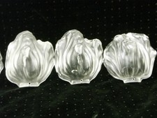 SÉRIE 5 TULIPES APPLIQUE LAMPE VERRE DÉPOLI VERRERIE signé EG pour EMILE GALLE ?