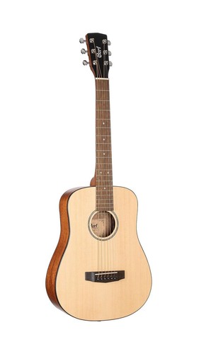 Cort string acoustic guitar - string,
