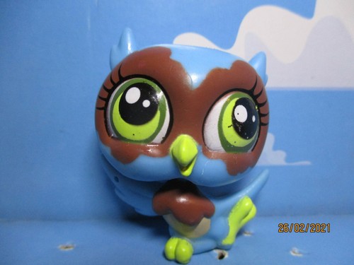 Petshop chouette hibou - /, "