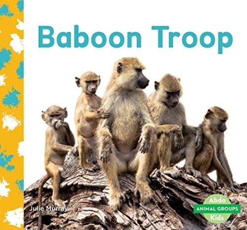 Baboon troop - troop, groups)