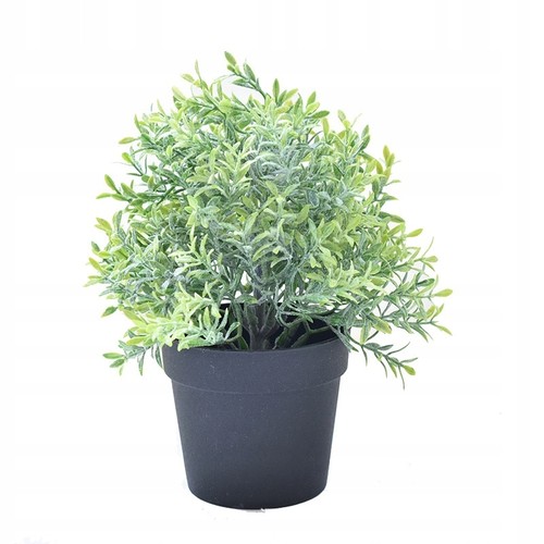 Plante artificielle pot - plante,