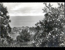 MESINGES (74) CHALETS & VILLAS