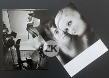 TWIGGY Mode Model David BAILEY