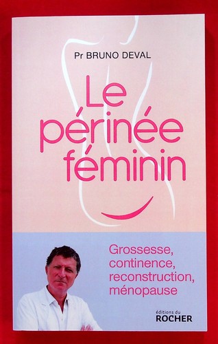 Perinee feminin grossesse - perinee, feminin,