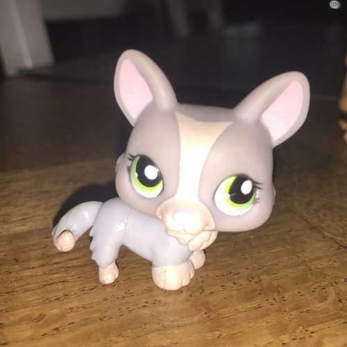 Littlest petshop corgi violet - littlest,