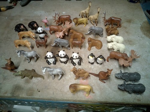 Rare boite animaux - rare, 36