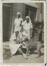 PHOTO ANCIENNE - VINTAGE SNAPSHOT - CHIEN INFIRMIÈRE DRÔLE - DOG NURSE FUNNY