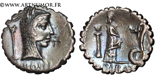 Roscia denier serratus - roscia,