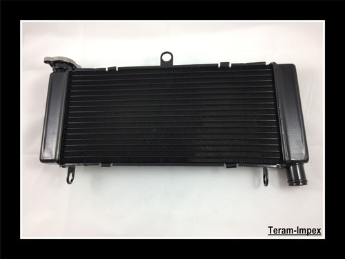 Radiateur pour honda - radiateur, 600