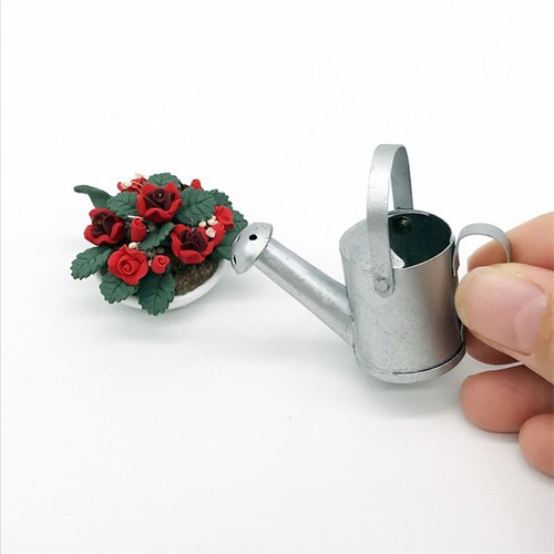 Arrosoir metal pomme - pomme, d
