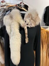 Renard Bleu fuchs Col Fourrure