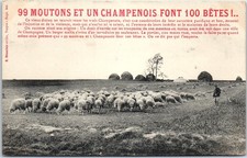 10 MOUTONS CHAMPENOIS Carte