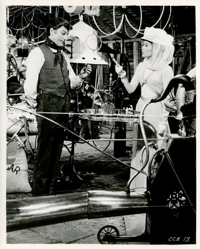 Dick van dyke sally ann - van,