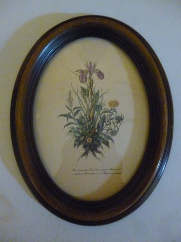 Tableau encadré ovale fleur - encadré,
