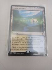 Grève inondée - Flooded Strand - Magic mtg - NM FR * 1 - fetchland