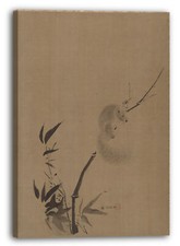 Toile/Cadres Kano Tan'yk -