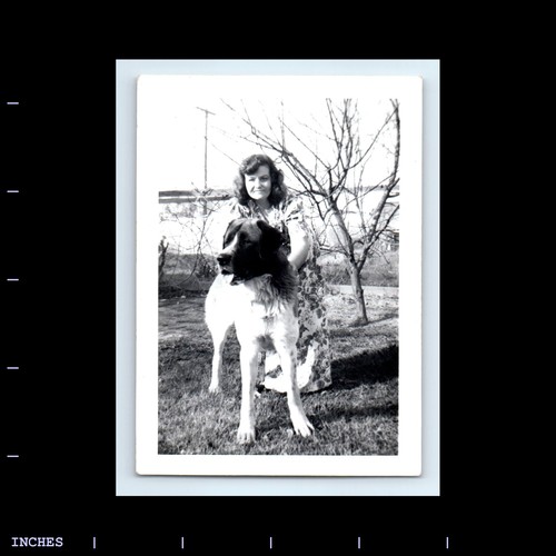 Vintage photo woman with - vintage, dog