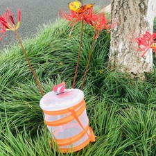 Kit Extérieur avec Cage pour Enfants
