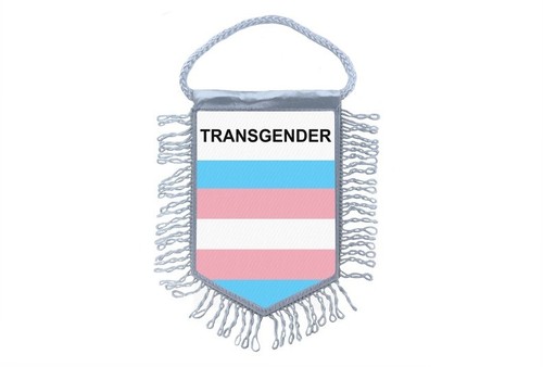 Fanion mini drapeau voiture - fanion,
