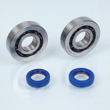 Roulement ou joint spi moteur