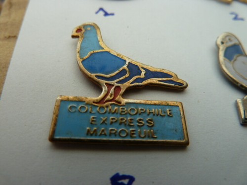 Pin pigeon maroeuil - maroeuil,