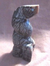 Indien D'Amérique Zuni