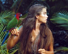 Brooke Shields [1001596] Photo 8x10 (Autres Tailles Disponibles)