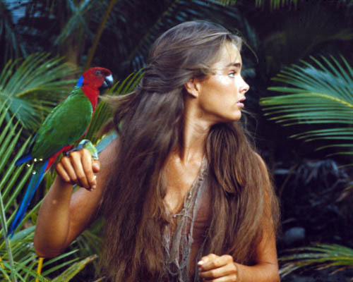 Brooke shields 1001596 photo - shields, [1001596]