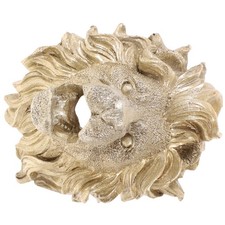  Pulvérisateur d'eau de