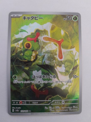 Carte pokemon chenipan - carte,