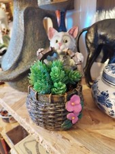 Le Chaton Au Panier Fleuri, Cache Pot