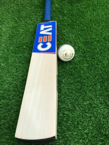 Batte cricket anglaise - de,