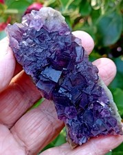Fluorite violette, cristaux