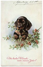ILLUSTRATEUR REICHERT. CHIEN. CHIOT.. TECKEL.   CPA 2687