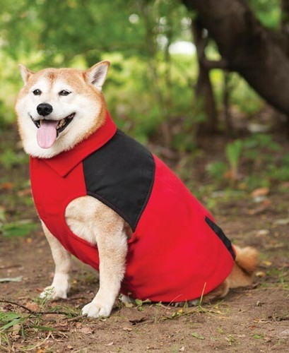 New with tags dog red - dog,
