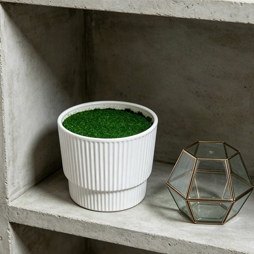 Pour for mini - pot, fleurs