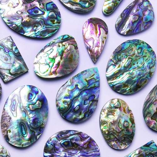 Nacre abalone de - nacre,