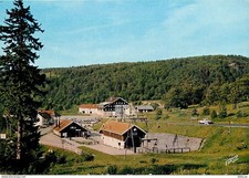 Carte Postale - 88 - Vosges -