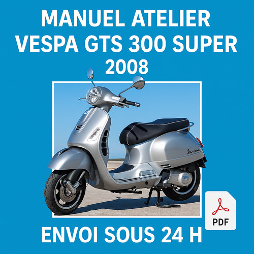 Manuel atelier vespa - vespa, 300