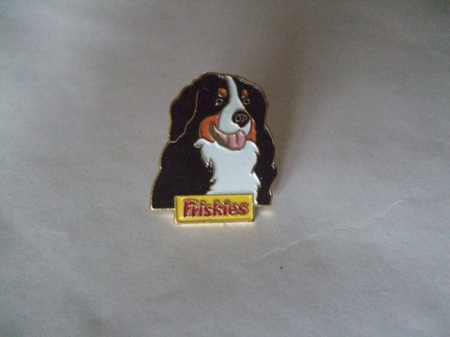 Pins chien bouvier - chien, bernois