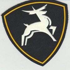 PATCH POLICE RUSSE REGION VOLGA CERF