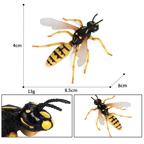 Insecte modèles simulé - insecte,
