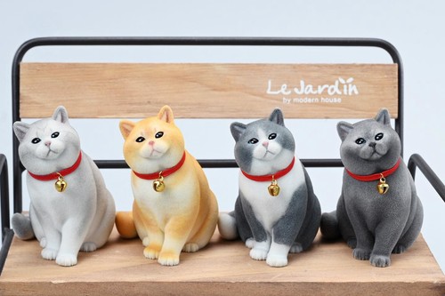 Hiplay jxk british shorthair - jxk,