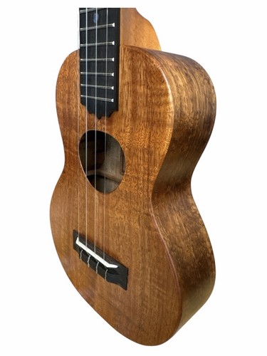 Koaloha concert ukulele - koaloha,