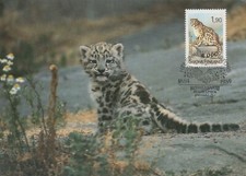LEOPARD Animaux Vintage Carte
