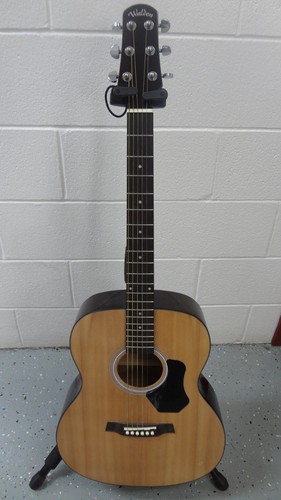 Walden acoustic guitar - walden,