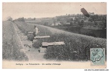 CAR-AFMP15-0763-88 - XERTIGNY